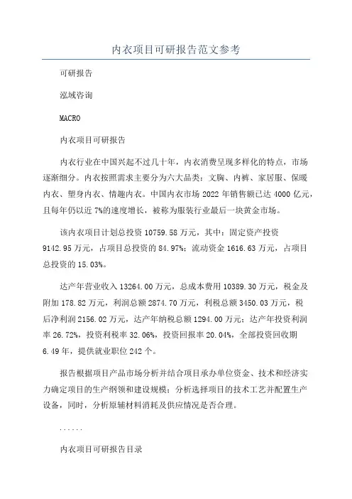内衣项目可研报告范文参考
