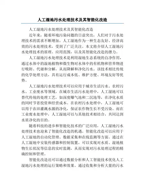 人工湿地污水处理技术及其智能化改造