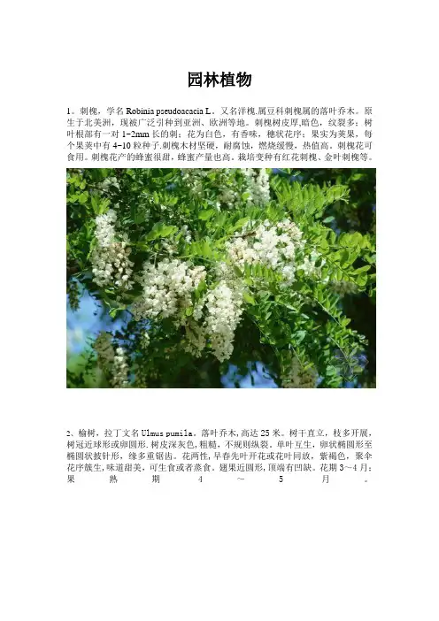 武汉地区常见园林植物