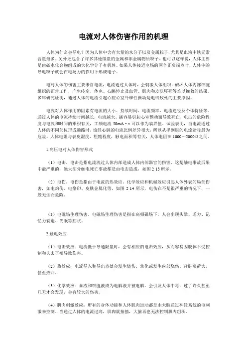 电流对人体伤害作用的机理