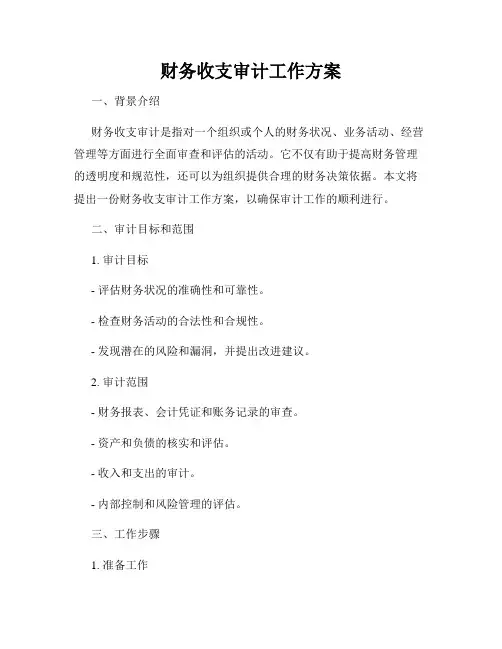 财务收支审计工作方案
