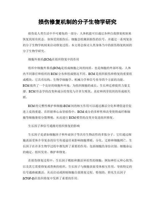 损伤修复机制的分子生物学研究