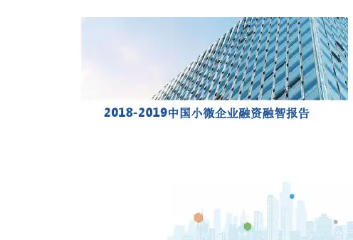 2018-2019中国小微企业融资融智报告