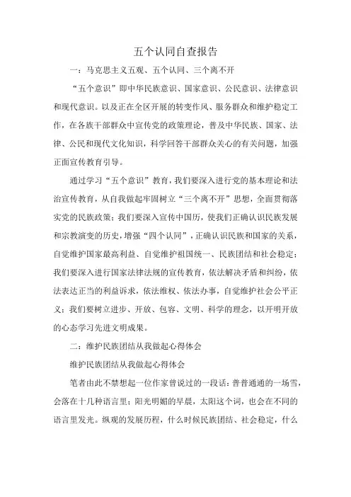 五个认同自查报告