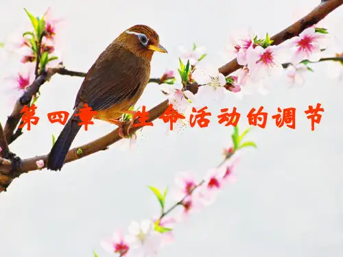 植物生命活动的调节