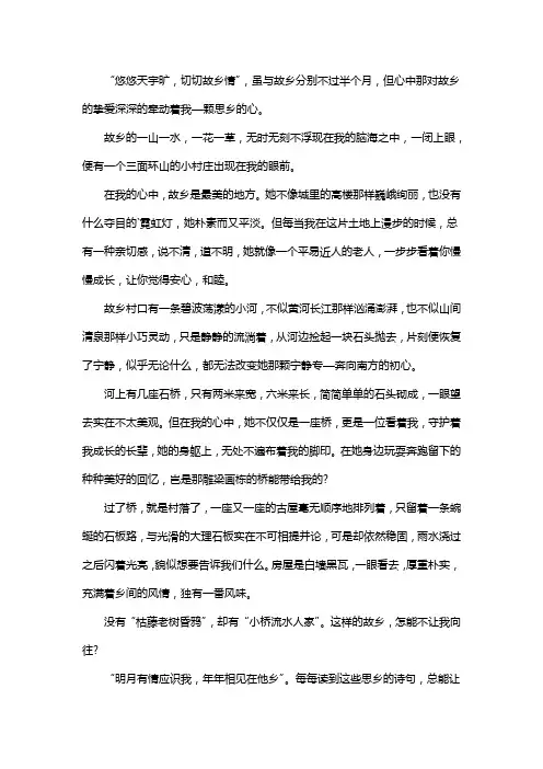 乡情乡味作文