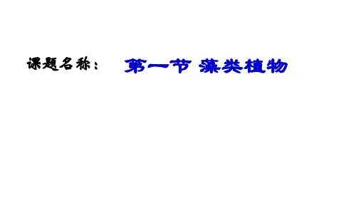 鲁科版生物六年级下册 第一节藻类植物  课件  (共23张PPT)