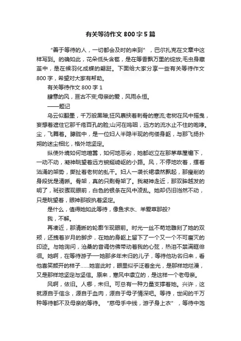 有关等待作文800字5篇