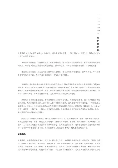 缺锌的症状