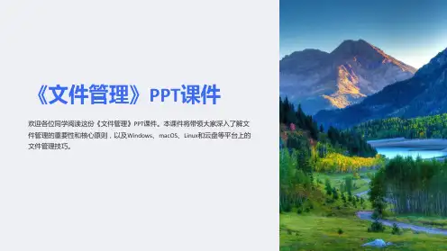 《文件管理》课件