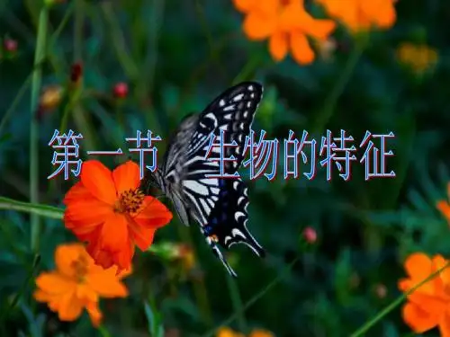 第一节生物的特征