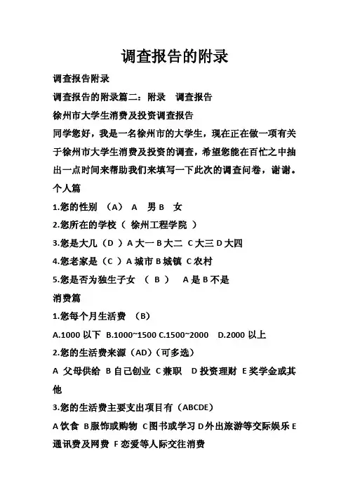 调查报告的附录