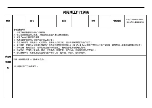 试用期工作计划表