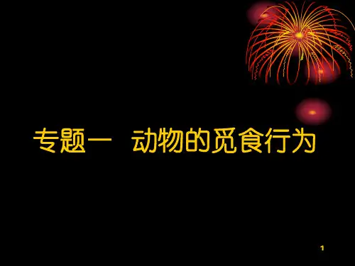 动物行为学觅食行为