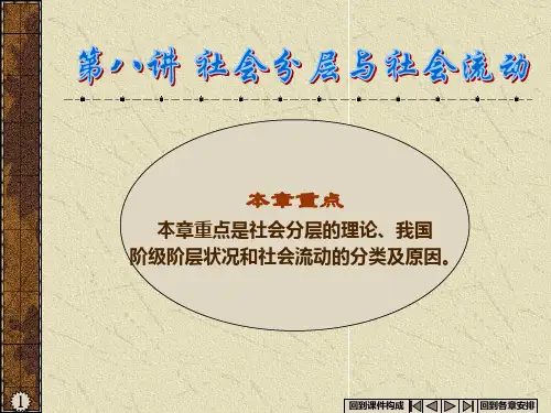 第八讲--社会分层与社会流动