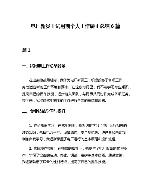 电厂新员工试用期个人工作转正总结6篇