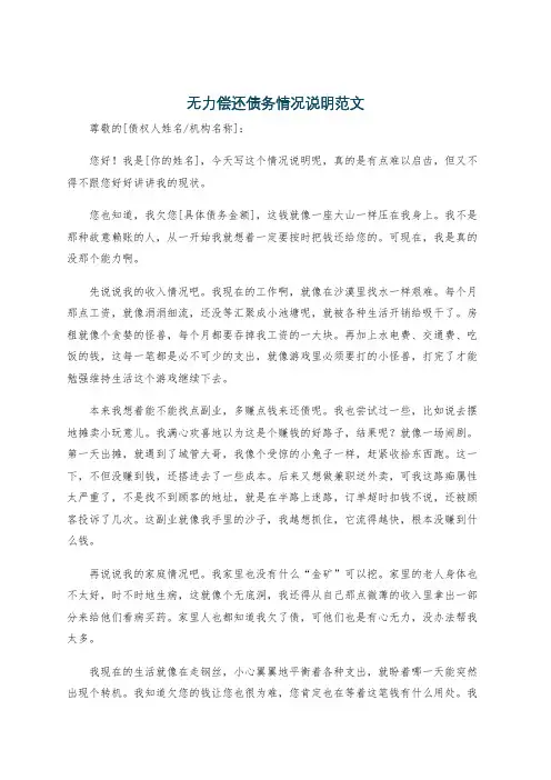 无力偿还债务情况说明范文