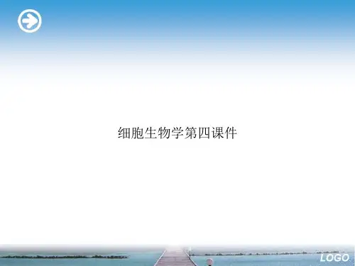 细胞生物学第四课件优选演示