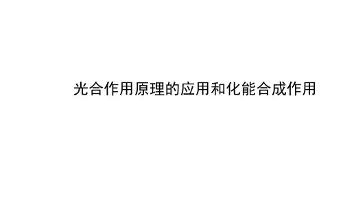 光合作用原理的应用和化能合成作 课件