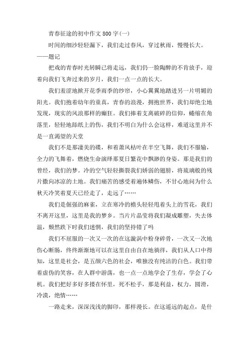 最新青春征途的初中作文800字5篇精选