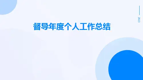 督导年度个人工作总结PPT