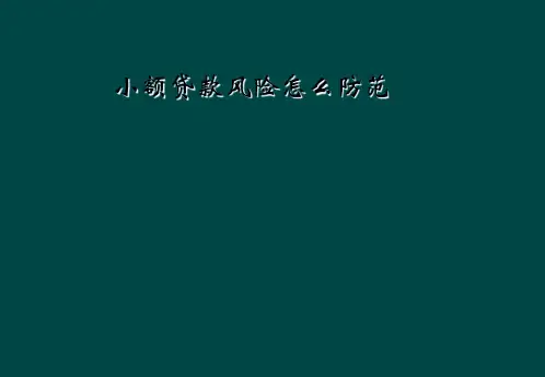 小额贷款风险怎么防范