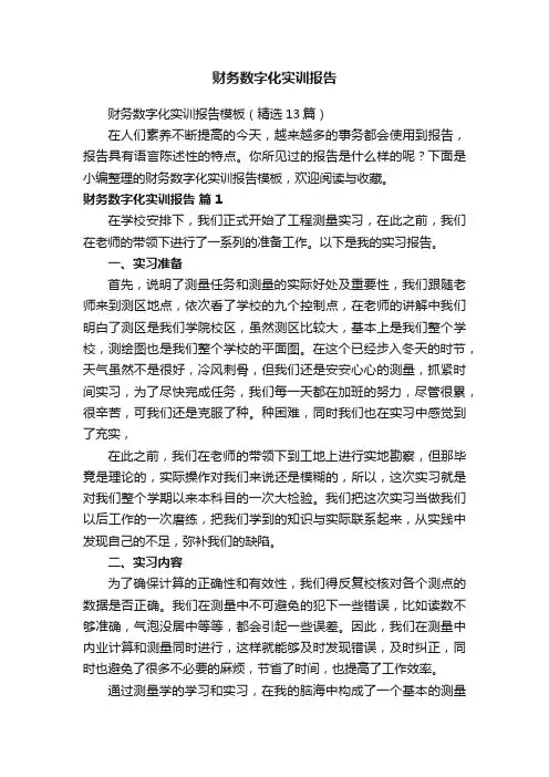 财务数字化实训报告模板（精选13篇）