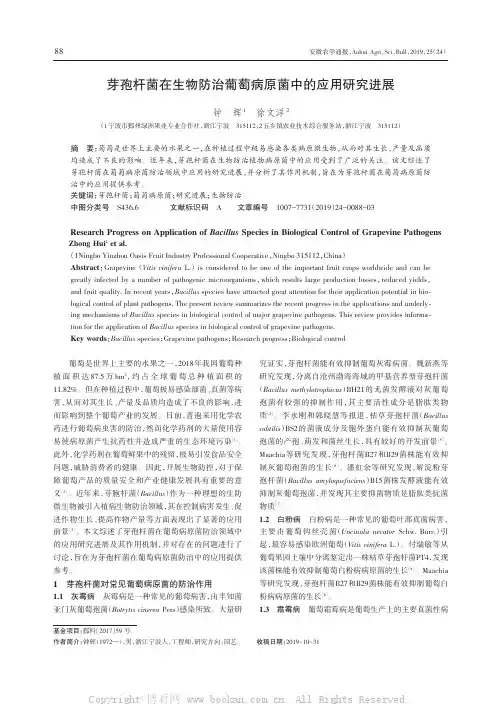 芽孢杆菌在生物防治葡萄病原菌中的应用研究进展