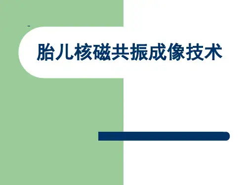 胎儿磁共振技术