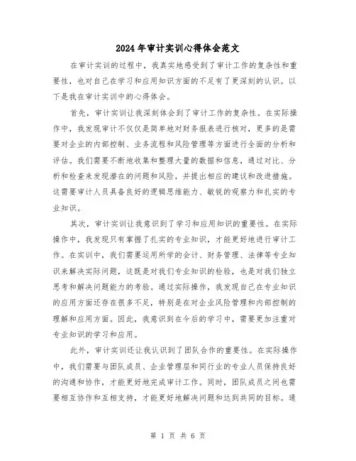 2024年审计实训心得体会范文(三篇)