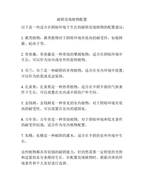 耐阴花境植物配置