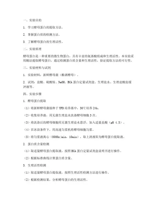 提取酵母蛋白实验报告