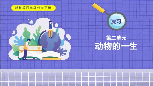 湘科版小学科学四年级下册第二单元《动物的一生》复习及练习