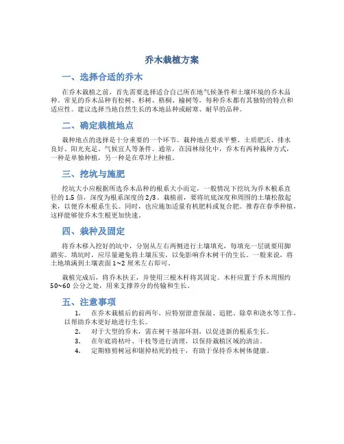 乔木栽植方案