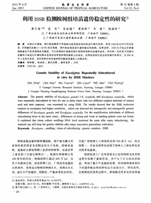 利用ISSR检测桉树组培苗遗传稳定性的研究