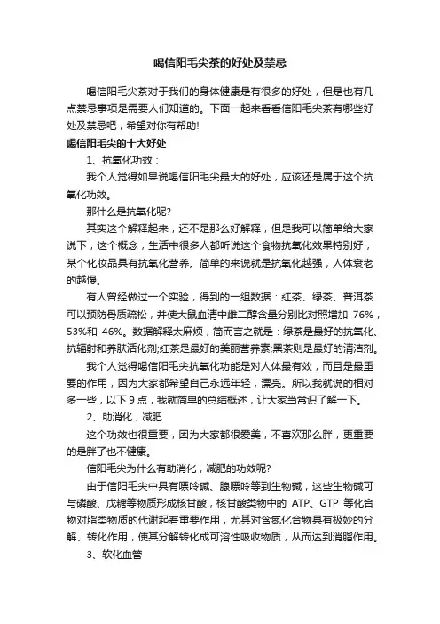 喝信阳毛尖茶的好处及禁忌