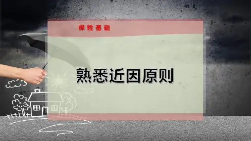 熟悉近因原则