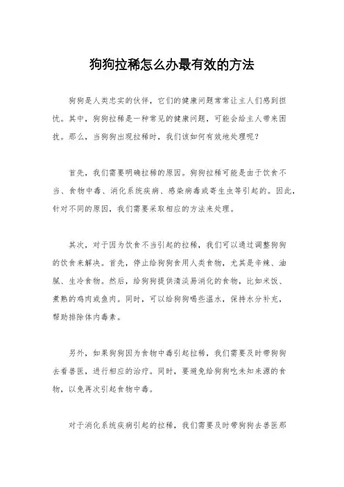 狗狗拉稀怎么办最有效的方法