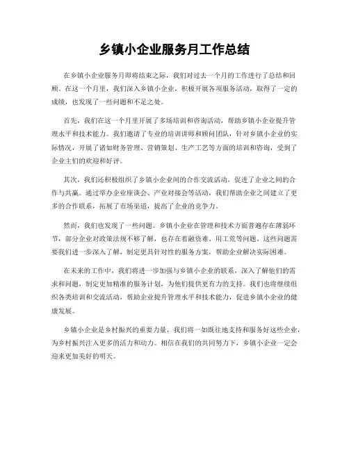 乡镇小企业服务月工作总结