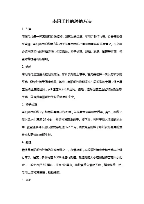 南阳毛竹的种植方法