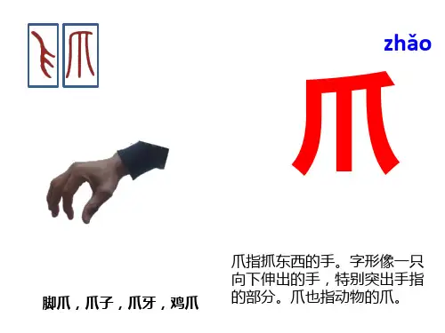 与“爪”有关的汉字分析