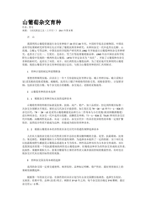 山葡萄杂交育种