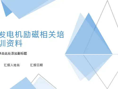 同步电动机及励磁