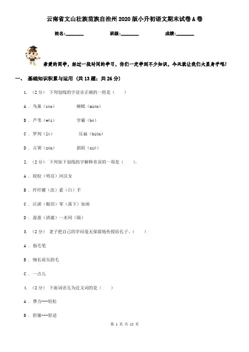 云南省文山壮族苗族自治州2020版小升初语文期末试卷A卷