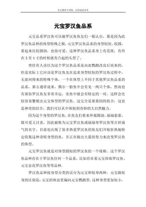 元宝罗汉鱼品系