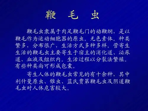 Parasite寄生虫2-医学原虫-鞭毛虫