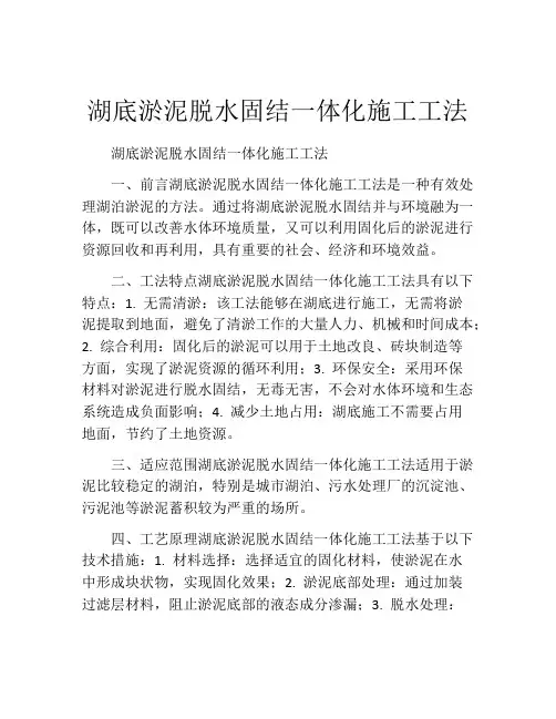 湖底淤泥脱水固结一体化施工工法(2)