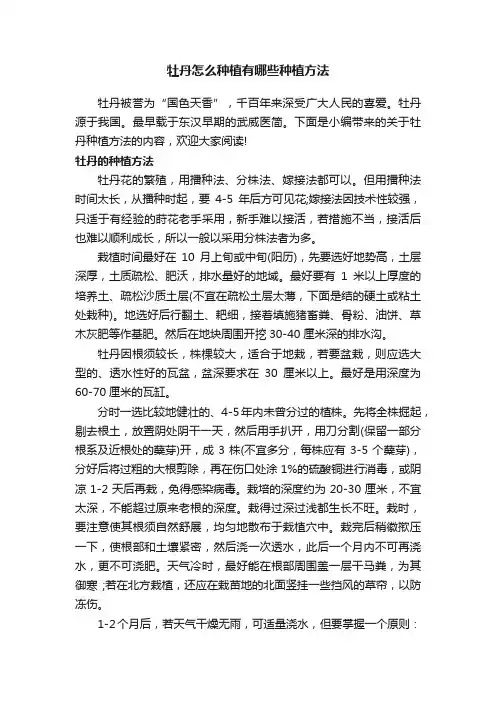 牡丹怎么种植有哪些种植方法