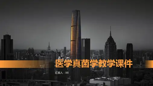 医学真菌学教学课件