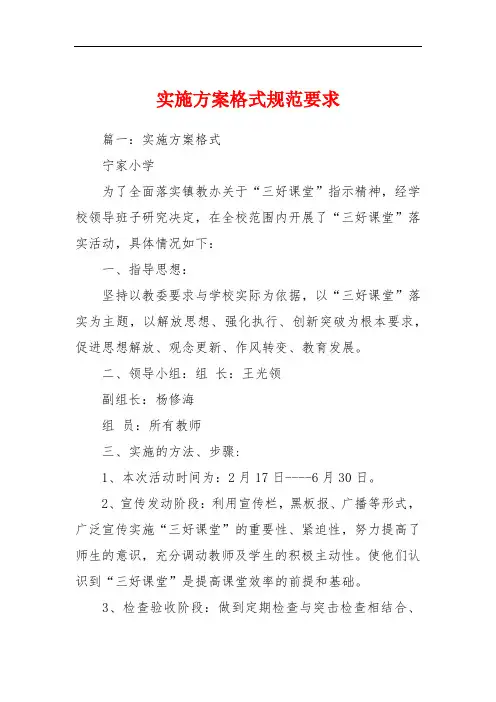 实施方案格式规范要求